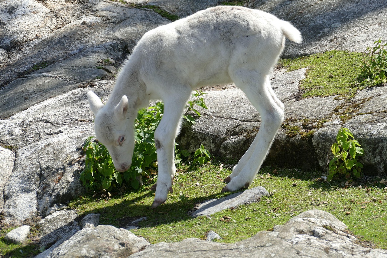 Community celebration with people gathered in a shared space.